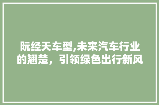 阮经天车型,未来汽车行业的翘楚，引领绿色出行新风尚