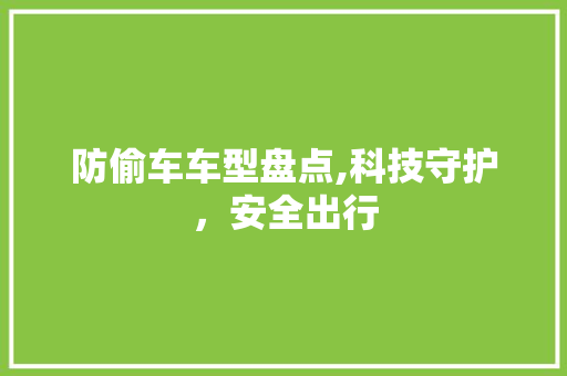 防偷车车型盘点,科技守护，安全出行