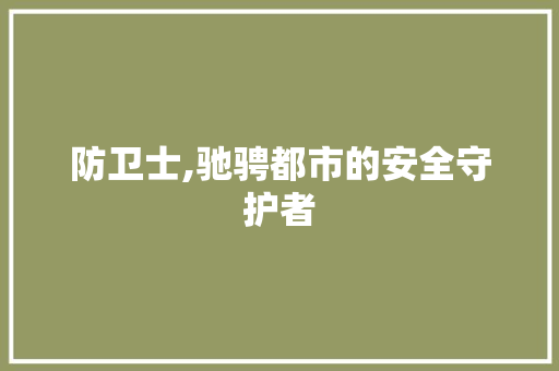 防卫士,驰骋都市的安全守护者