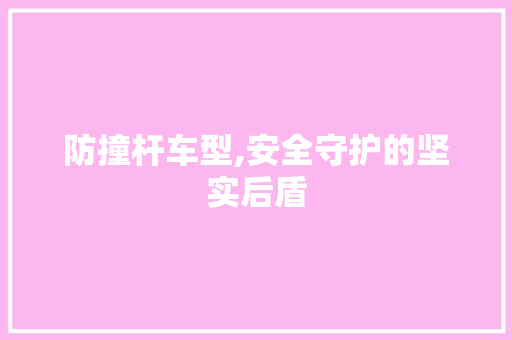 防撞杆车型,安全守护的坚实后盾