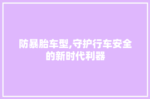 防暴胎车型,守护行车安全的新时代利器