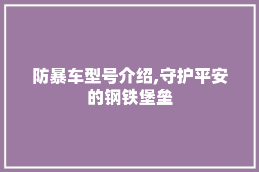 防暴车型号介绍,守护平安的钢铁堡垒