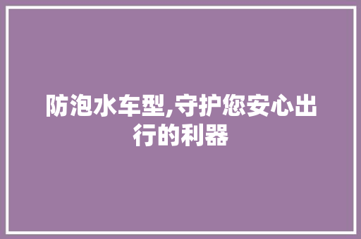 防泡水车型,守护您安心出行的利器