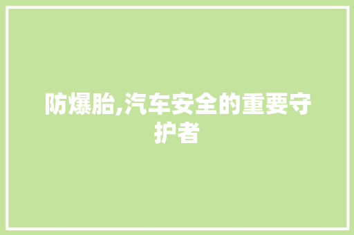 防爆胎,汽车安全的重要守护者
