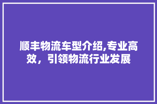 顺丰物流车型介绍,专业高效，引领物流行业发展