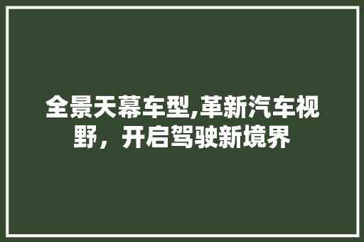 全景天幕车型,革新汽车视野，开启驾驶新境界