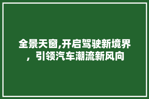 全景天窗,开启驾驶新境界，引领汽车潮流新风向