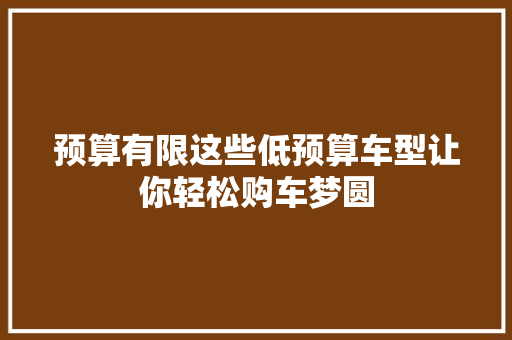 预算有限这些低预算车型让你轻松购车梦圆