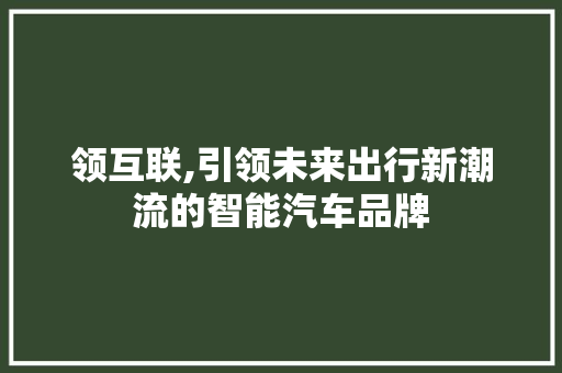 领互联,引领未来出行新潮流的智能汽车品牌