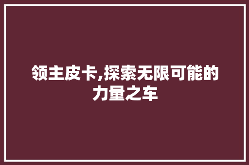 领主皮卡,探索无限可能的力量之车