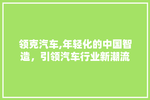 领克汽车,年轻化的中国智造，引领汽车行业新潮流