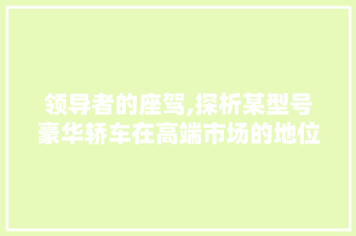 领导者的座驾,探析某型号豪华轿车在高端市场的地位与影响力