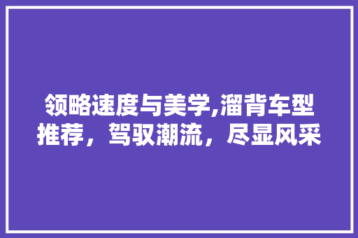 领略速度与美学,溜背车型推荐，驾驭潮流，尽显风采