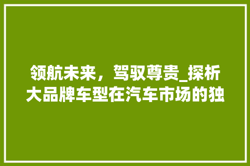 领航未来，驾驭尊贵_探析大品牌车型在汽车市场的独领风骚