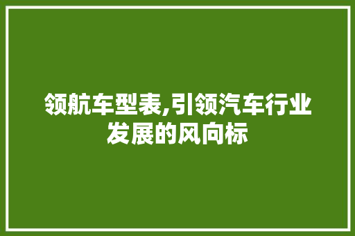 领航车型表,引领汽车行业发展的风向标