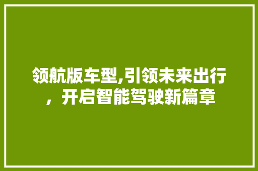 领航版车型,引领未来出行，开启智能驾驶新篇章
