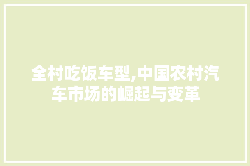 全村吃饭车型,中国农村汽车市场的崛起与变革