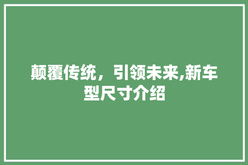 颠覆传统，引领未来,新车型尺寸介绍