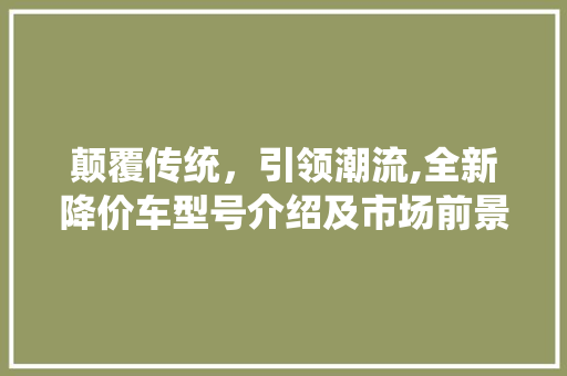 颠覆传统，引领潮流,全新降价车型号介绍及市场前景展望