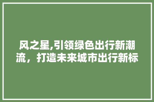 风之星,引领绿色出行新潮流，打造未来城市出行新标杆