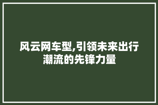 风云网车型,引领未来出行潮流的先锋力量