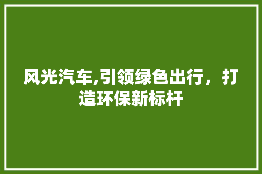 风光汽车,引领绿色出行，打造环保新标杆