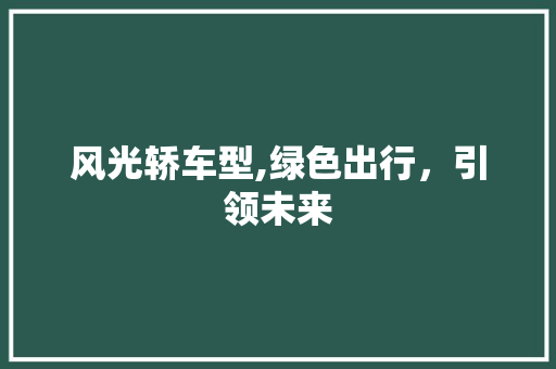 风光轿车型,绿色出行，引领未来
