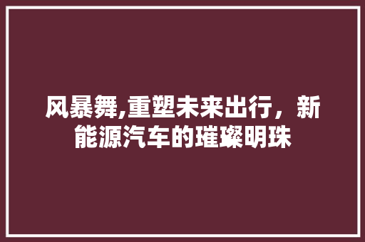 风暴舞,重塑未来出行，新能源汽车的璀璨明珠