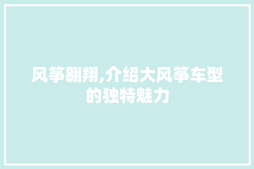 风筝翱翔,介绍大风筝车型的独特魅力