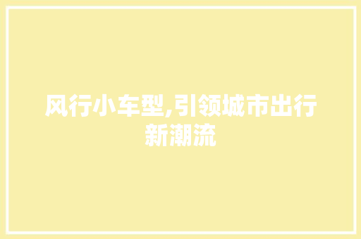 风行小车型,引领城市出行新潮流