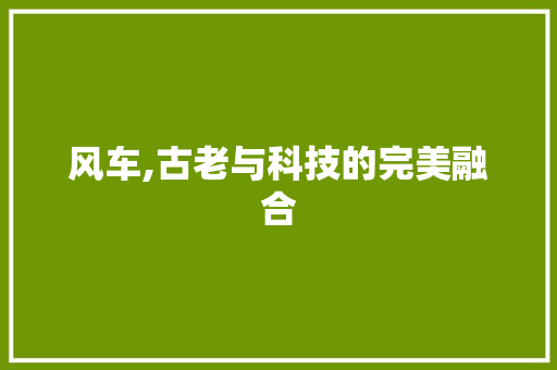 风车,古老与科技的完美融合