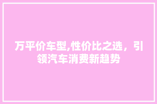 万平价车型,性价比之选，引领汽车消费新趋势