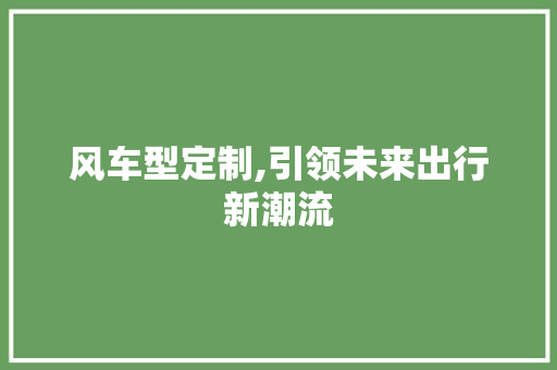 风车型定制,引领未来出行新潮流