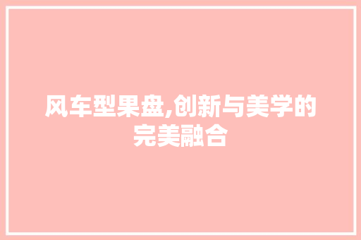 风车型果盘,创新与美学的完美融合