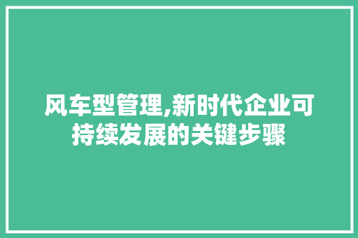 风车型管理,新时代企业可持续发展的关键步骤