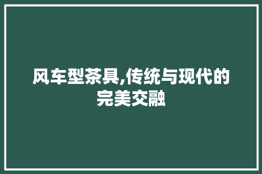 风车型茶具,传统与现代的完美交融