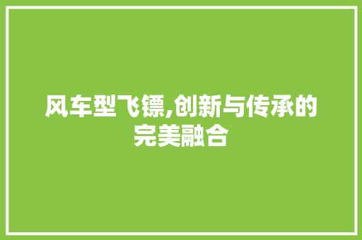 风车型飞镖,创新与传承的完美融合