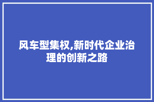 风车型集权,新时代企业治理的创新之路 底盘配件