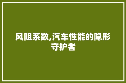 风阻系数,汽车性能的隐形守护者