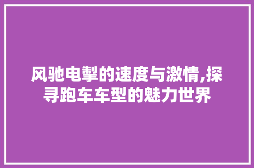 风驰电掣的速度与激情,探寻跑车车型的魅力世界