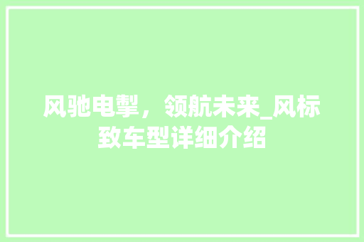 风驰电掣，领航未来_风标致车型详细介绍