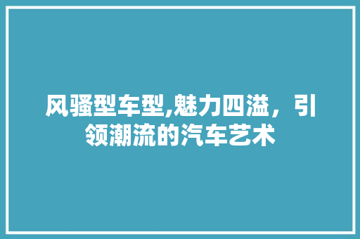 风骚型车型,魅力四溢，引领潮流的汽车艺术