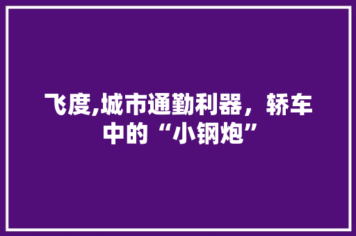 飞度,城市通勤利器，轿车中的“小钢炮”