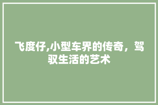 飞度仔,小型车界的传奇，驾驭生活的艺术