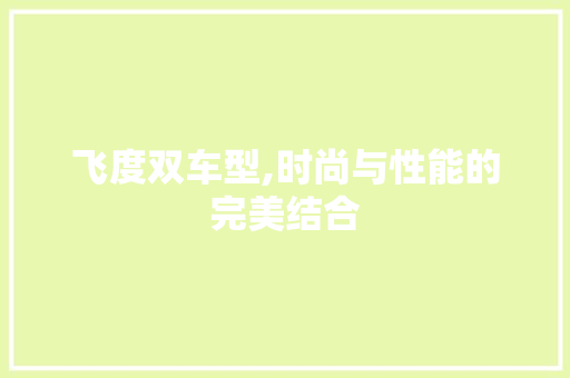 飞度双车型,时尚与性能的完美结合