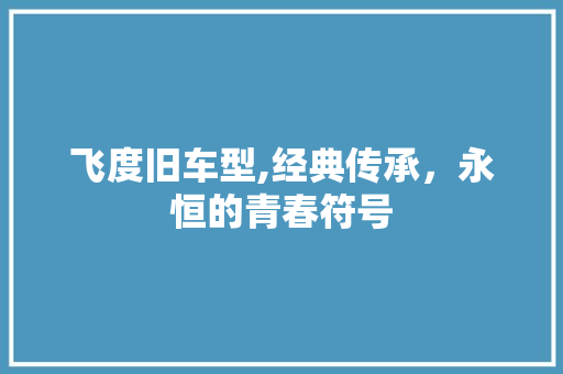 飞度旧车型,经典传承，永恒的青春符号