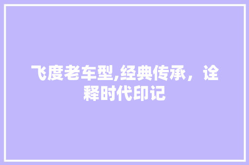 飞度老车型,经典传承，诠释时代印记