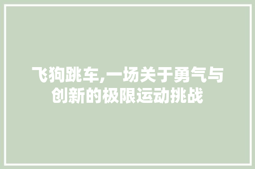 飞狗跳车,一场关于勇气与创新的极限运动挑战