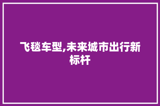 飞毯车型,未来城市出行新标杆