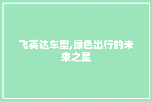 飞英达车型,绿色出行的未来之星